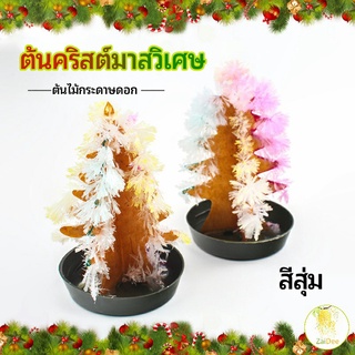 ต้นคริสต์มาสวิเศษ ต้นไม้กระดาษดอก ของขวัญแสนสนุก ต้นไม้วิเศษ magical christmas tree