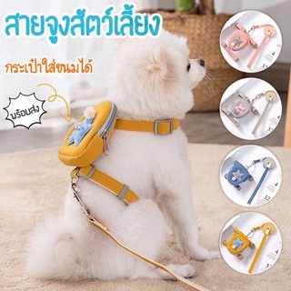 พร้อมส่ง🧡สายจูงสัตว์เลี้ยง#สายจูงน้องหมา#สายจูงน้องแมว