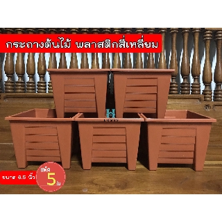 กระถางพลาสติกสีเหลี่ยม 6.5 นิ้ว กระถางต้นไม้ กระถางปลูกผัก เซ็ต 5 ใบ