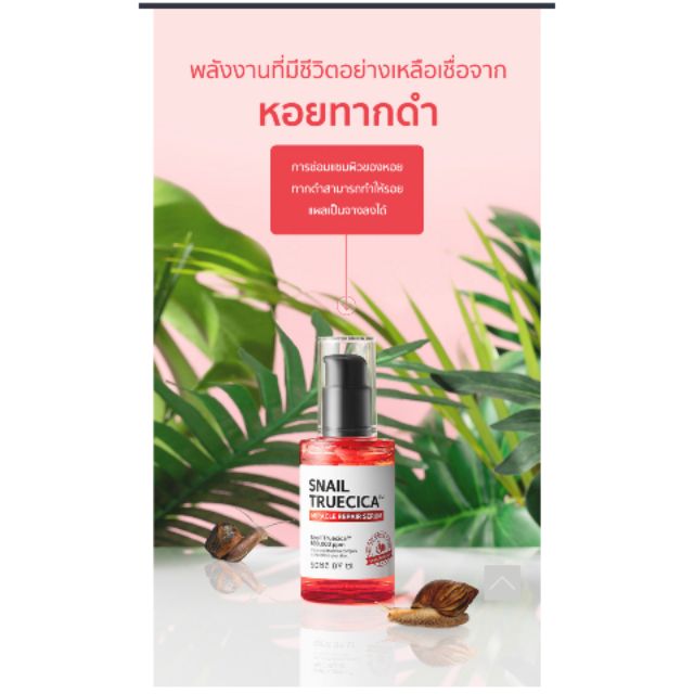 Some By Mi Snail Truecica Miracle Repair Serum 50ml 