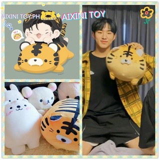 &lt;Hoshi ตุ๊กตาตัวเดียวกัน !&gt;AIXINI หมอนตุ๊กตานุ่ม รูปการ์ตูนเสือ ม้าลาย หมูน่ารัก ขนาด 35 ซม. 45 ซม. สําหรับเด็ก