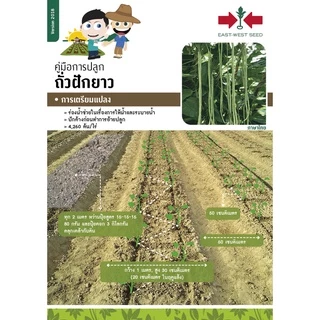 GGEW เมล็ดพันธุ์ ถั่วฝักยาว ลำน้ำพอง2 100 เมล็ด ตราศรแดง