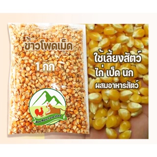 ข้าวโพดเมล็ดเลี้ยงสัตว์ขนาด แบ่งขาย 1 กก เลี้ยงไก่ เป็ด นก ห่าน ผสมอาหารสัตว์