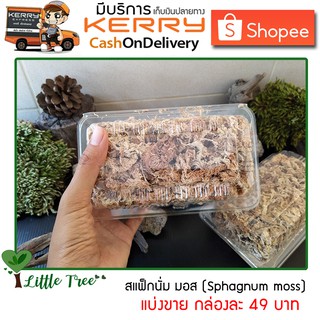 สแฟ็กนั่มมอส แบ่งขาย Sphagnum moss บรรจุกล่องขนาดและปริมาณของสินค้าตามที่ระบุไว้ อ่านก่อนสั่งซื้อ