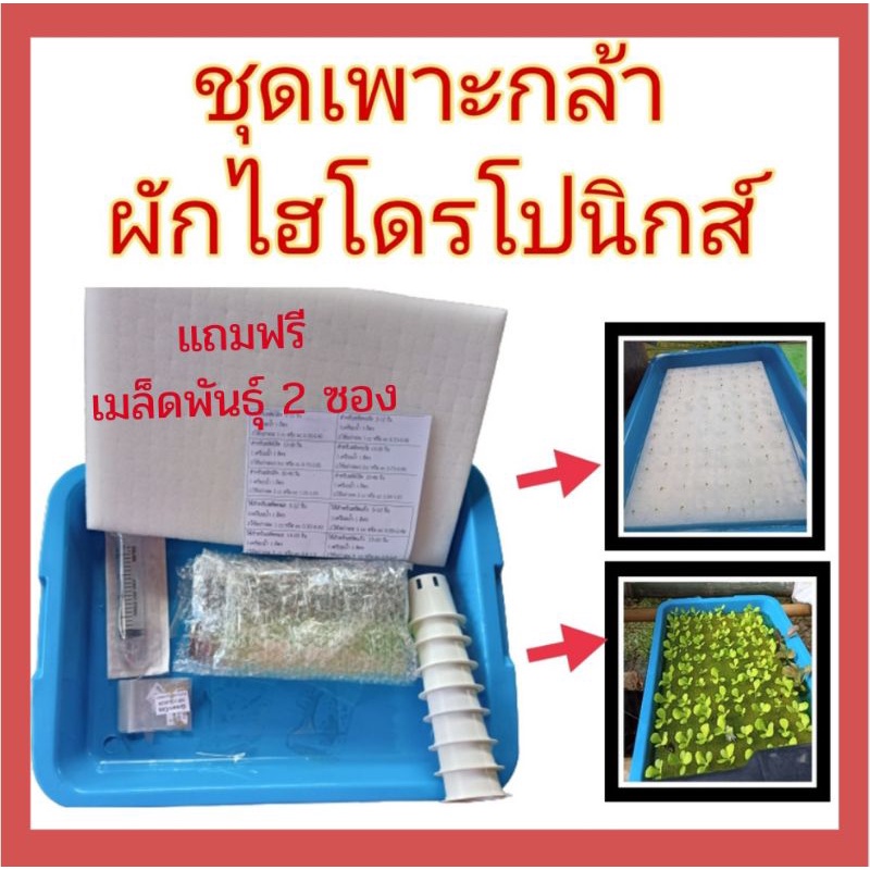 My Image 7