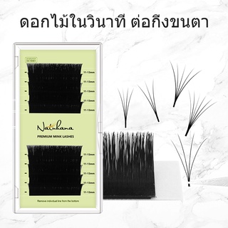 NATUHANA C/CC/D รถยนต์ ธรรมชาติ แบบช่อ ขนมิ้ง ขนตาปลอม ขนตา ทำช่อดอกไม้ง่ายๆ ขนตาปลอมขนมิ้ง