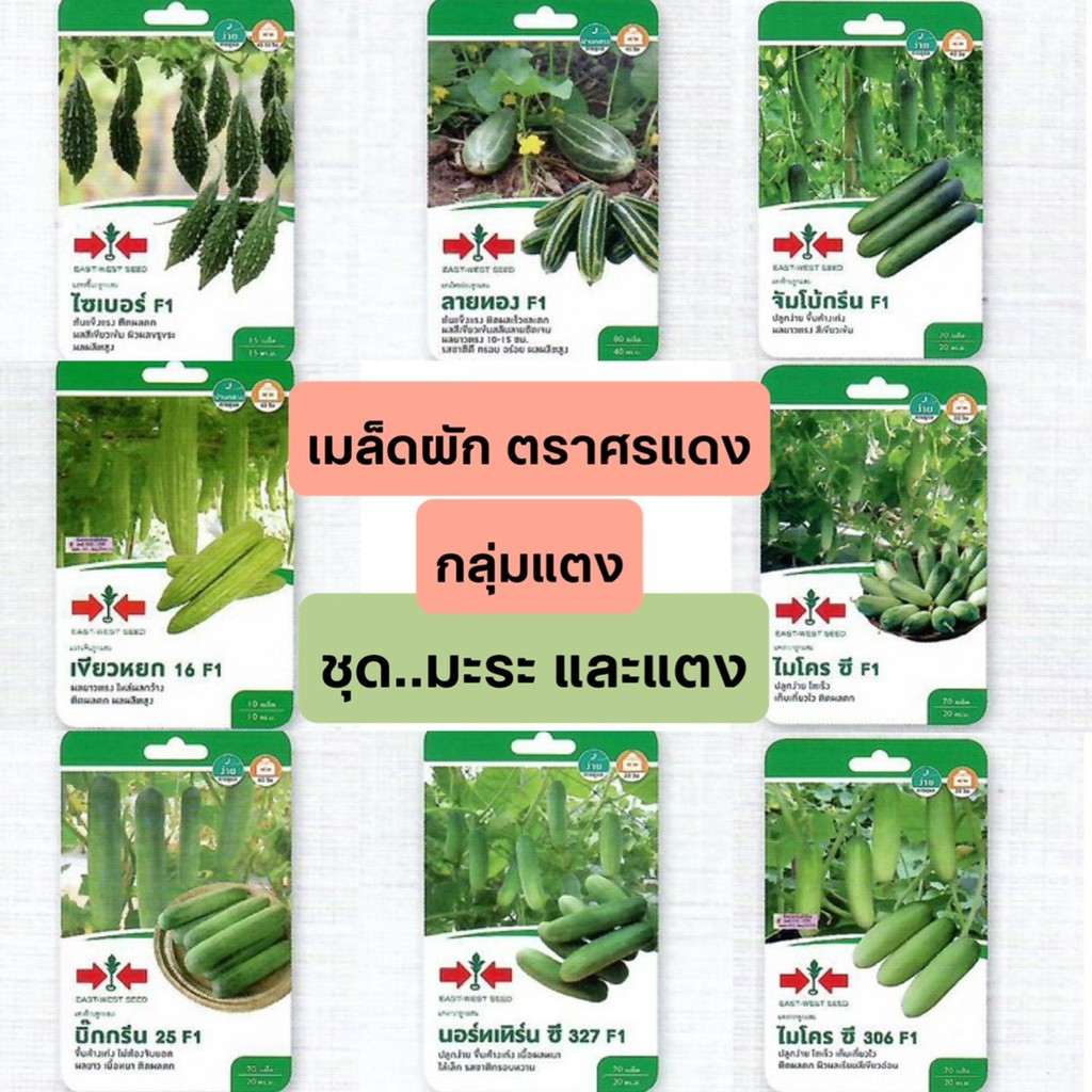 [ศรแดง][ชุด มะระ แตง] ผักซองศรแดง เมล็ดพันธุ์ ผัก ศรแดง