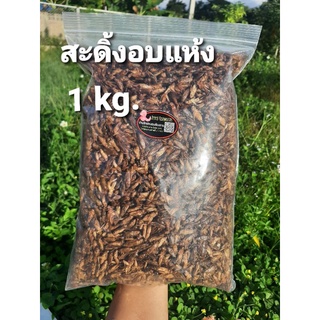 สะดิ้งอบแห้ง ขนาด 1 kg. อบสดใหม่ทุกออเดอร์