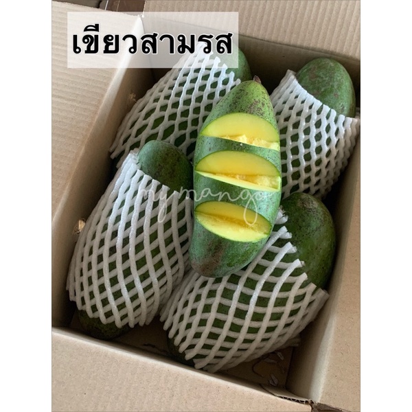 📌พร้อมส่ง📌มะม่วงเขียวสามรส มะม่วงน้ำปลาหวาน