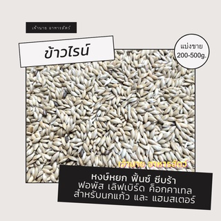 ข้าวไรย์ .(แบ่งขาย 200 -500 g.)