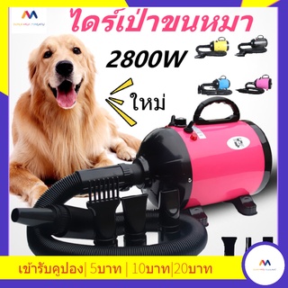 ไดร์เป่าขนหมา 2800W ไดร์ไล่น้ำ ไดร์ขนสุนัข ไดร์เป่าขนแมว เครื่องเป่าขน ไดร์เป่าขนสัตว์ ไดร์เป่าขนหมา