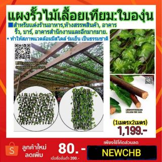 รั้วไม้เลื้อยพร้อมใบ(ยืดได้2เมตร):ไม้caneเเท้ ,ใบดก มีใบทั้ง2ด้าน