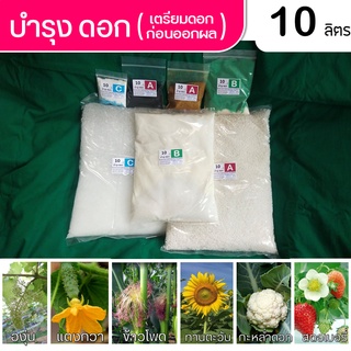 ปุ๋ย ABC Hydro Flower to Fruit สำหรับผักไฮโดรโปนิกส์ ชนิดแห้ง บำรุงดอก ชุดขนาด 10 ลิตร ( A 10L,B 10L และ C10L)