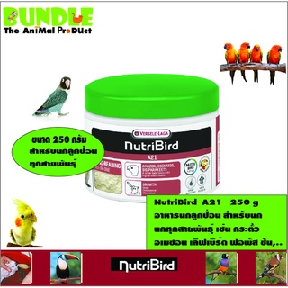 NutriBird  A21   250 g อาหารนกลูกป้อน สำหรับนก นกทุกสายพันธุ์ เช่น กระตั้ว อเมซอน เลิฟเบิร์ด ฟอพัส ซัน,..