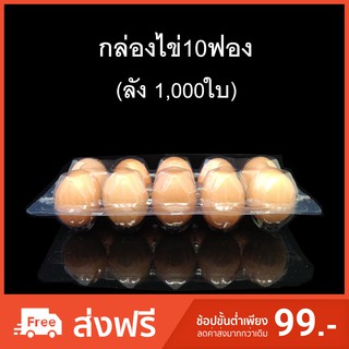 (ลัง 1,000 ใบ) กล่องไข่10ฟอง กล่องใส่ไข่ กล่องพลาสติกใส่ไข่10ฟอง สำหรับไข่ #2