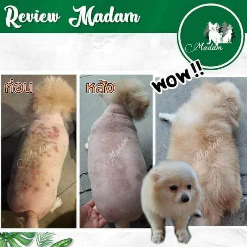 แชมพู​ Madam สำหรับสุนัขและแมว​ ที่ใช้แก้ปัญหาโรคผิวหนัง ขนาด 250 ml.