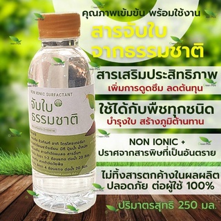 สารจับใบ จากธรรมชาติ 250 มล. ตรา green park จับใบ ปุ๋ย ยา น้…