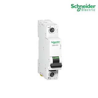 Schneider Electric Miniature circuit breaker - C60H - 1 pole - 2A - C curve - A9N61502 - ชไนเดอร์ สั่งซื้อที่ร้าน PlugOn