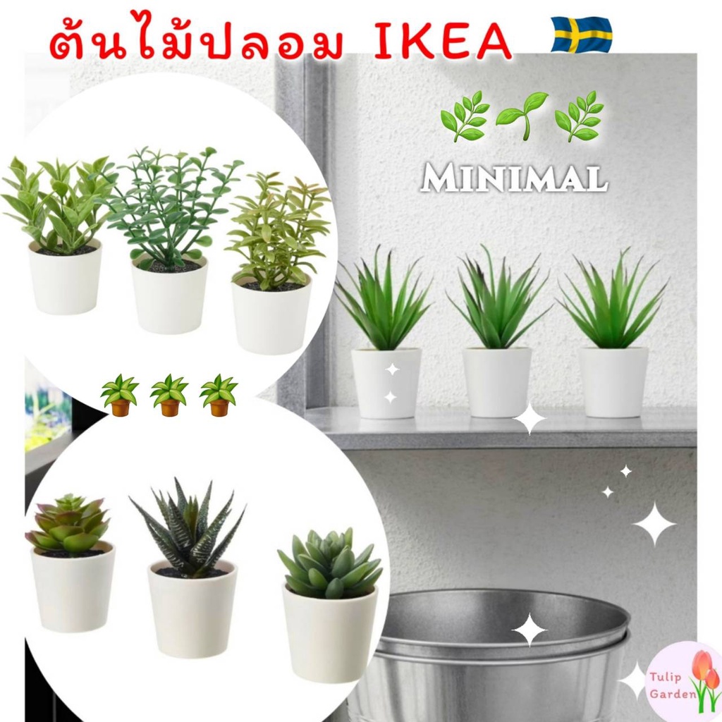พร้อมส่ง ไม้ประดิษฐ์ในกระถาง ต้นไม้ปลอม IKEA FEJKA เฟคก้า ต้นไม้ประดิษฐ์ กุหลาบหิน ต้นหญ้าปลอม