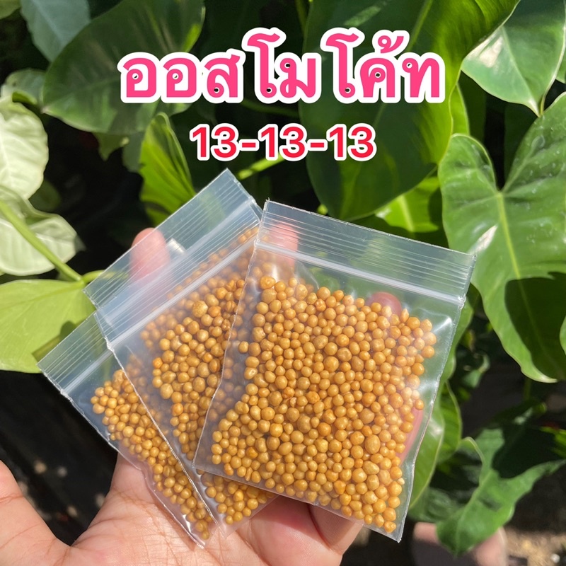 ออสโมโค้ท13-13-13 50กรัม✅✅