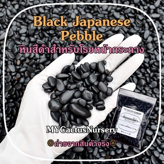 หินดำ หินสีดำ หินดำเงา หินดำญี่ปุ่น Black Japanese Pebble หินดำนอก หินโรยกระถางแคคตัส หินดำบาหลี หินดำแต่งสวน หินตู้ปลา