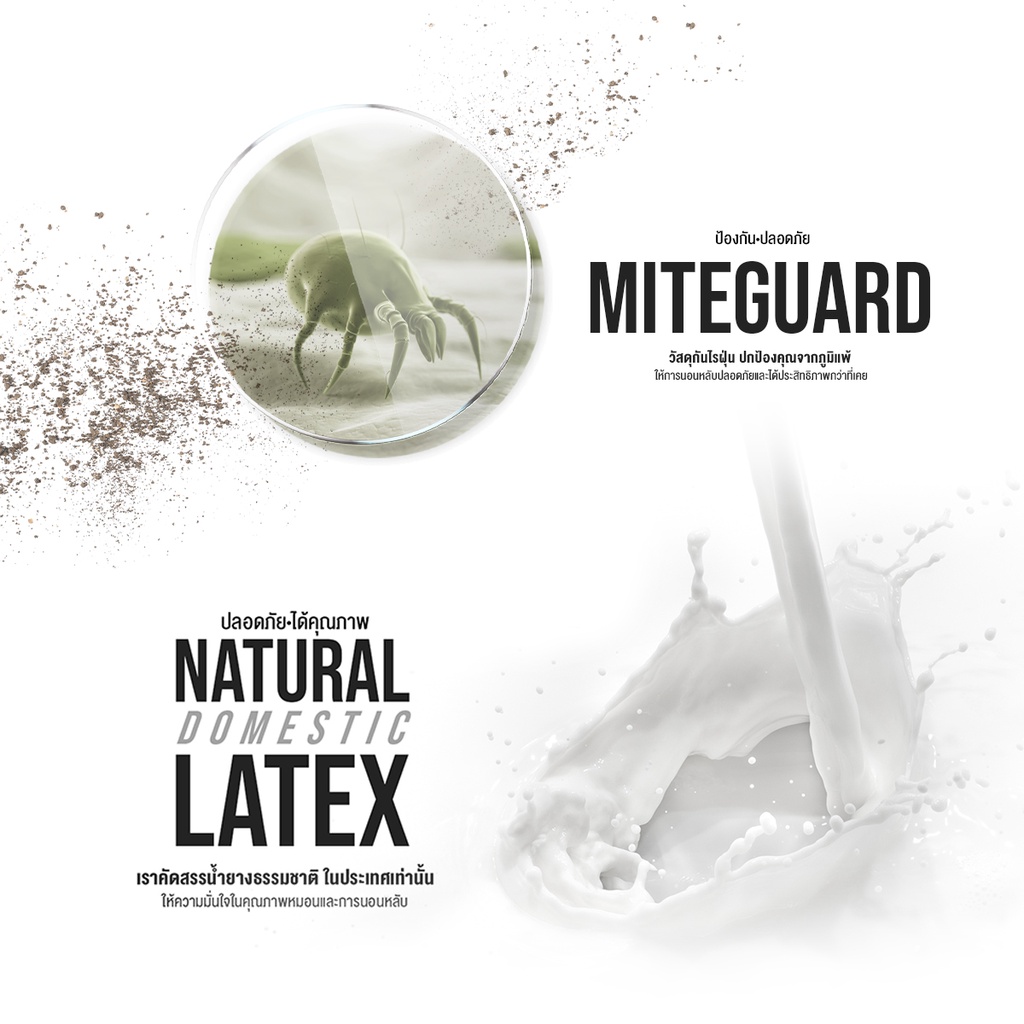 Orientas Roji-Cha รุ่น Omogashi เบาะรองนั่งเพื่อสุขภาพ ผลิตจากยางพาราแท้ หนา 2 นิ้ว รองรับสรีระ คืนตัวไว หุ้มปลอกหนัง PV - รูปที่ 5