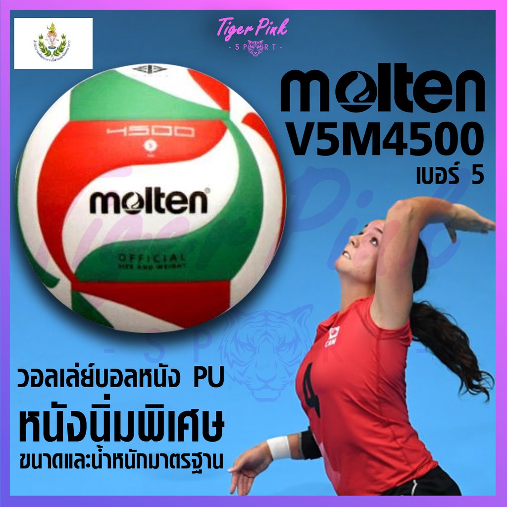 Molten V5M4500 ลูกวอลเลย์บอล