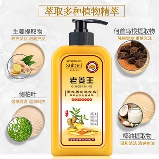 Ginger Scalp Shampoo แชมพูขิงบำรุงเส้นผมหนังศรีษะ