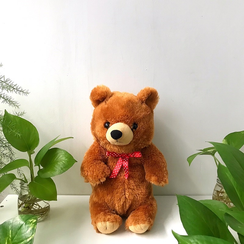 Lincoln DLux Brown Bear