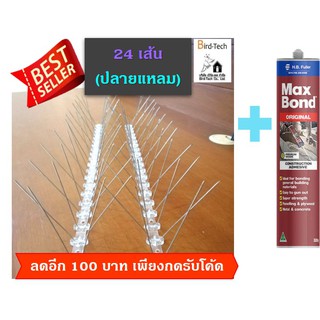 Bird spike หนามกันนกฐาน Polycarbonate ➡️​ปลายแหลม​⬅️​ 24 เส้น แถมกาวตะปู 1 หลอด จำนวนหนาม 80กิ่งต่อเมตร