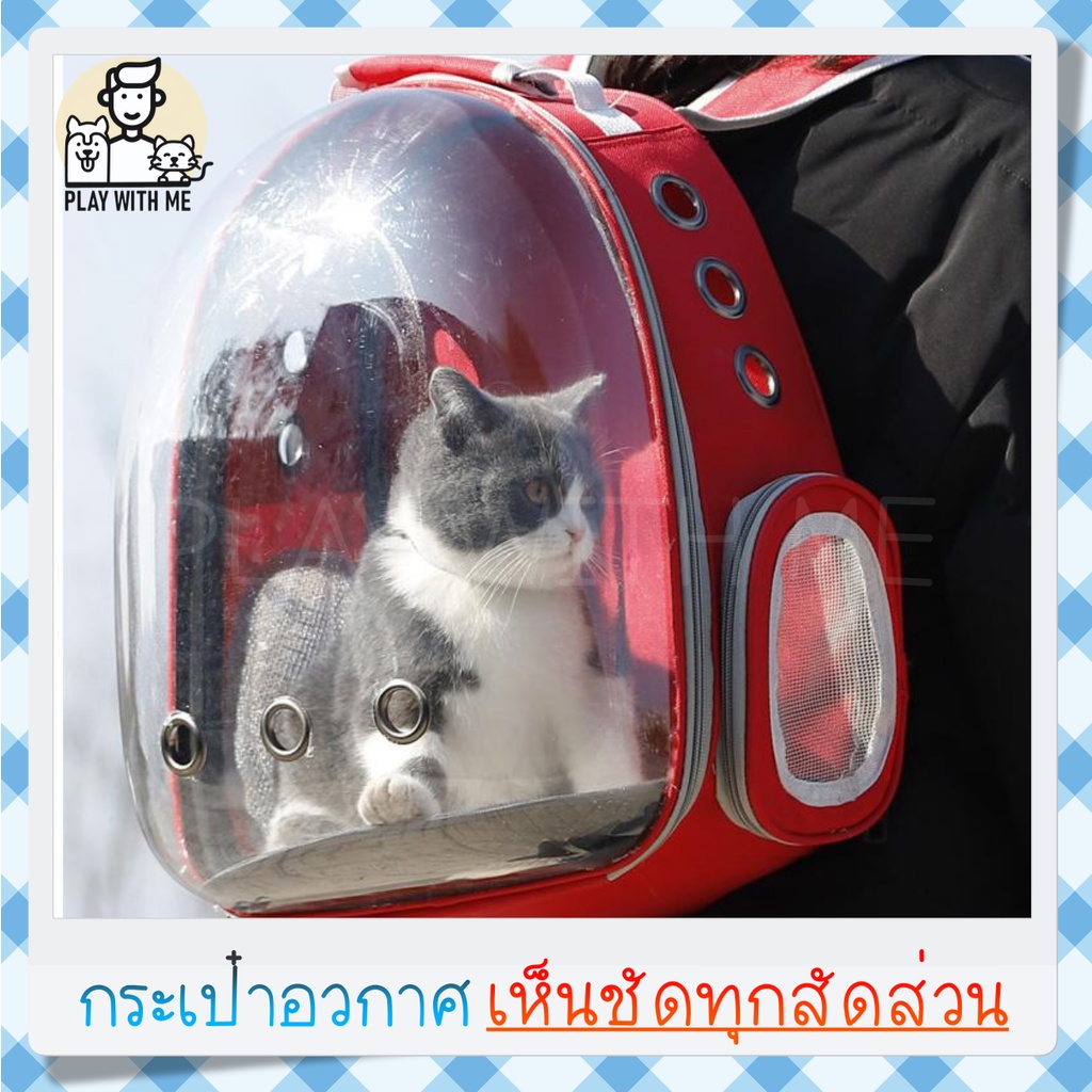 ✅พร้อมส่ง✅ กระเป๋าแมว กระเป๋าสัตว์เลี้ยง สุนัข หมา