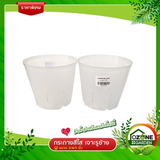 กระถาง ใส เจาะรูข้าง  Transparent Tree pot