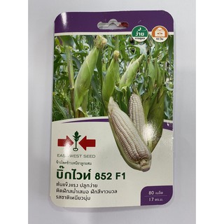 บิ๊กไวท์ 852 F1 ศรแดง เมล็ดพันธ์ุข้าวโพดข้าวเหนียวลูกผสม ชื่อพันธ์ุบิ๊กไวท์ 852 F1 เมล็ดพันธ์ุคุณภาพตราศรแดง บรรจุอย่างด