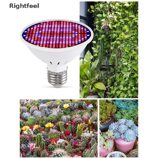 (Rightfeel) หลอดไฟ Led 300 ดวง Mr16 ฟูลสเปกตรัม 220V สําหรับปลูกพืชไฮโดรโปนิก