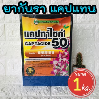 Local ฟาร์มสุข 🍃 ยากันราแคปแทน (Captan - Captacide 50) ราในกระบองเพชร ไม้อวบน้ำ แคคตัส ไม้ประดับ และพืชผัก 1 KG