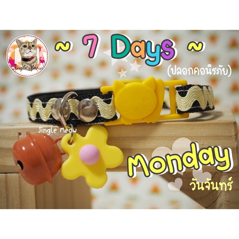(แมวเด็ก/แมวโต) ปลอกคอนิรภัย / ปลอกคอเซฟตี้ ปลอกคอแมว รุ่น 7 days