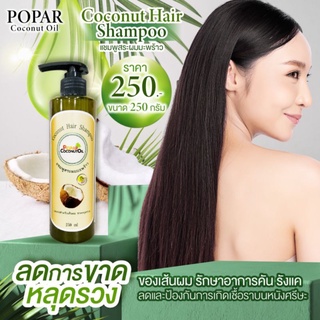 แชมพูสระผมมะพร้าวลดผมร่วง 250ml (ได้1ขวด)