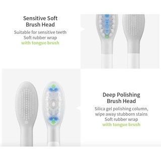 brush teeth automatically