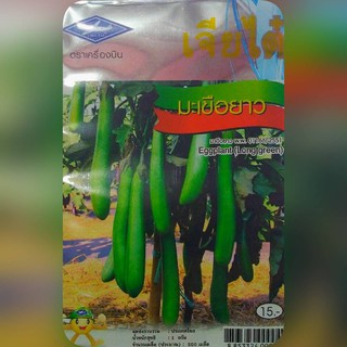 มะเขือยาว (Eggplant - Long Green) เจียใต๋