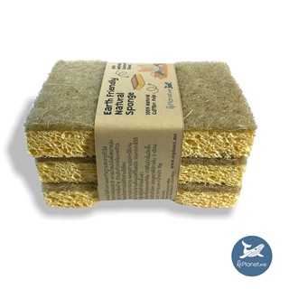 REPLANET.me ฟองน้ำล้างจานรักษ์โลก ทำจากเยื่อฝ้ายและใยมะพร้าว || Natural Cleaning Sponge