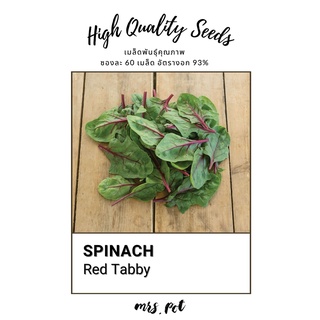 เมล็ดผักโขม Red Tabby Spinach