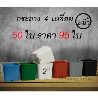 กระถาง4เหลี่ยม ขนาด 2 นิ้ว ชุด 50ใบ | กระถางพลาสติก กระถางแคตตัส  สีสวย กระถางพลาสติกเกรดA ยืดหยุ่น ทนทาน