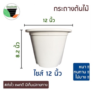 (เก็บโค้ดส่งฟรีหน้าร้านค้า) กระถางต้นไม้พลาสติกสีขาว 12 นิ้ว