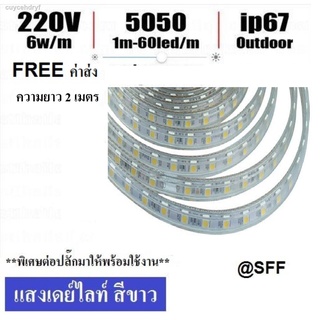 ไฟสายยาง ไฟเส้นแอลอีดีราคาถูก,ไฟเส้นประดับตกแต่ง LED ROPE LIGHT กันน้ำ IP65 ยาว 2 เมตร ฟรีปลั๊กยาว 1 เส้นต่อมาให้พร้อมใช