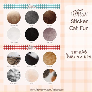 สติกเกอร์ขนแมวออริจินัล Catseye Art