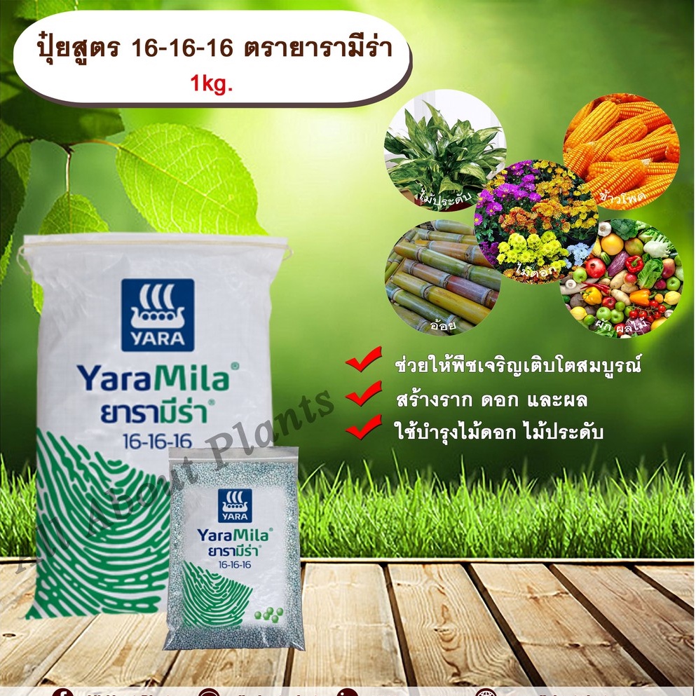 ปุ๋ยสูตร 16-16-16 ตรายารามีร่า 1kg.  เร่งต้น เร่งใบ เร่งดอก เร่งผล สูตรเสมอ ปุ๋ยใส่ทางดิน allaboutplants
