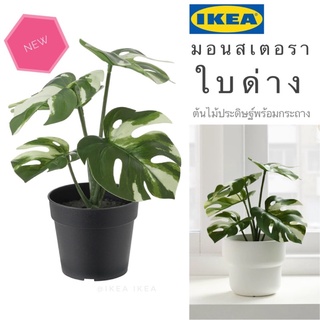 🔥พร้อมส่ง🔥IKEA_FEJKA เฟคก้า ต้นมอนสเตอรา ใบด่าง ต้นไม้ประดิษฐ์ พร้อมกระถาง ใน/นอกอาคาร