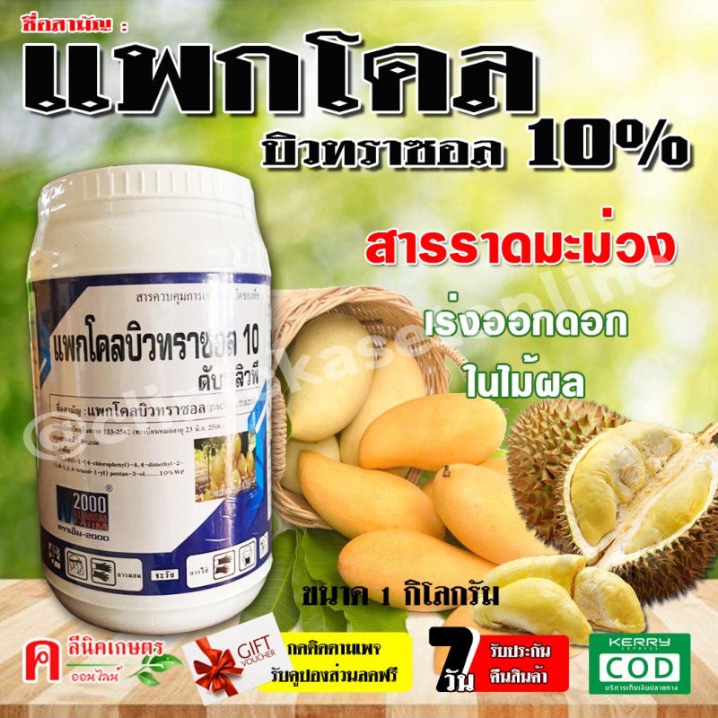 แพกโคลบิวทราซอล 10%, 15% สารราดมะม่วง บังคับให้ออกดอก การทำไม้ผลนอกฤดู เช่น ทุเรียน มะม่วง ไม้ดอก (1กิโลกรัม)