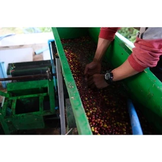 PK Full City+ Roast ขนาด 1,000g. เมล็ดกาแฟคั่วกลางค่อนเข้ม + ส่งไว คั่วใหม่