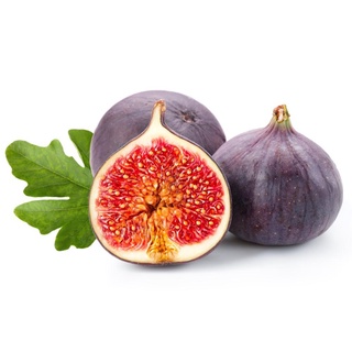 Figs ต้นมะเดื่อฝรั่ง พันธุ์ Black Jack (แบล๊กแจ๊ก)พร้อมกระถาง 6 นิ้ว ลำต้นสูง 45-50 ซม